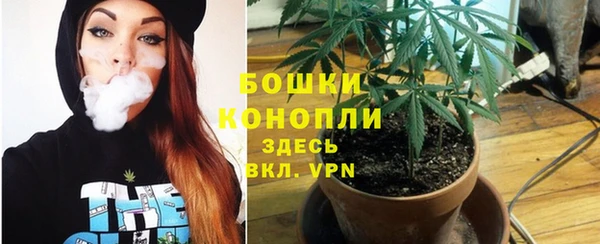 гидропоника Аркадак