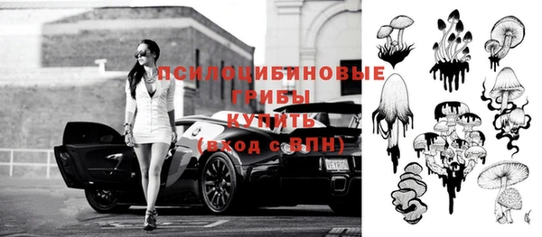 гидропоника Ладушкин